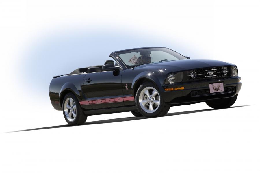  Ford Mustang Convertible 2005 года  (фото 9 из 11)